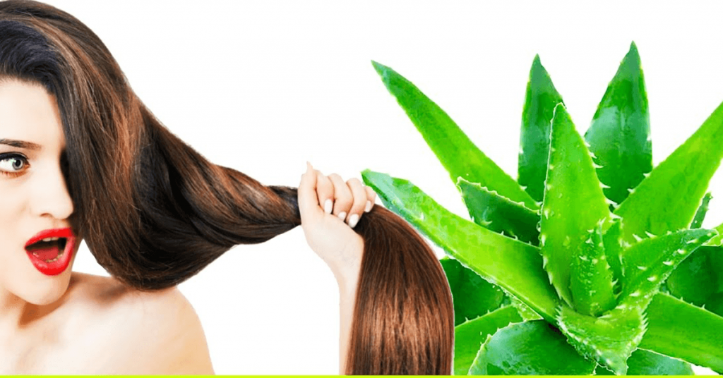 Benefits of Aloe Vera