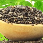 Benefits of chia seeds