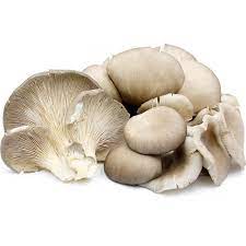 benefits of mushrooms