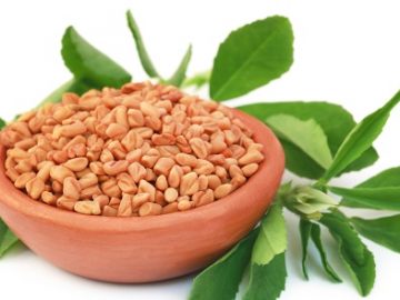 What Are The Benefits Of Fenugreek