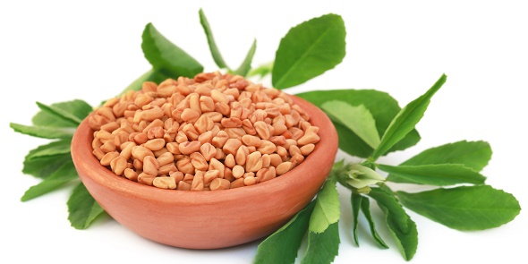 What Are The Benefits Of Fenugreek