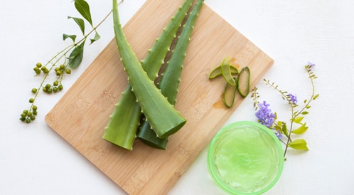 What Are The Benefits of Aloe Vera