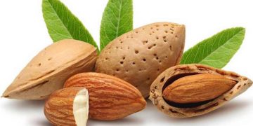 Almond benefits